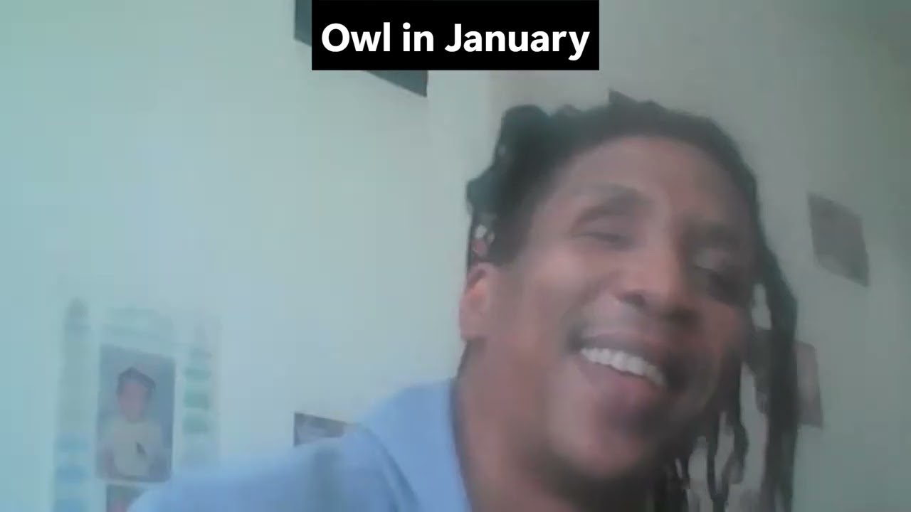 Owl