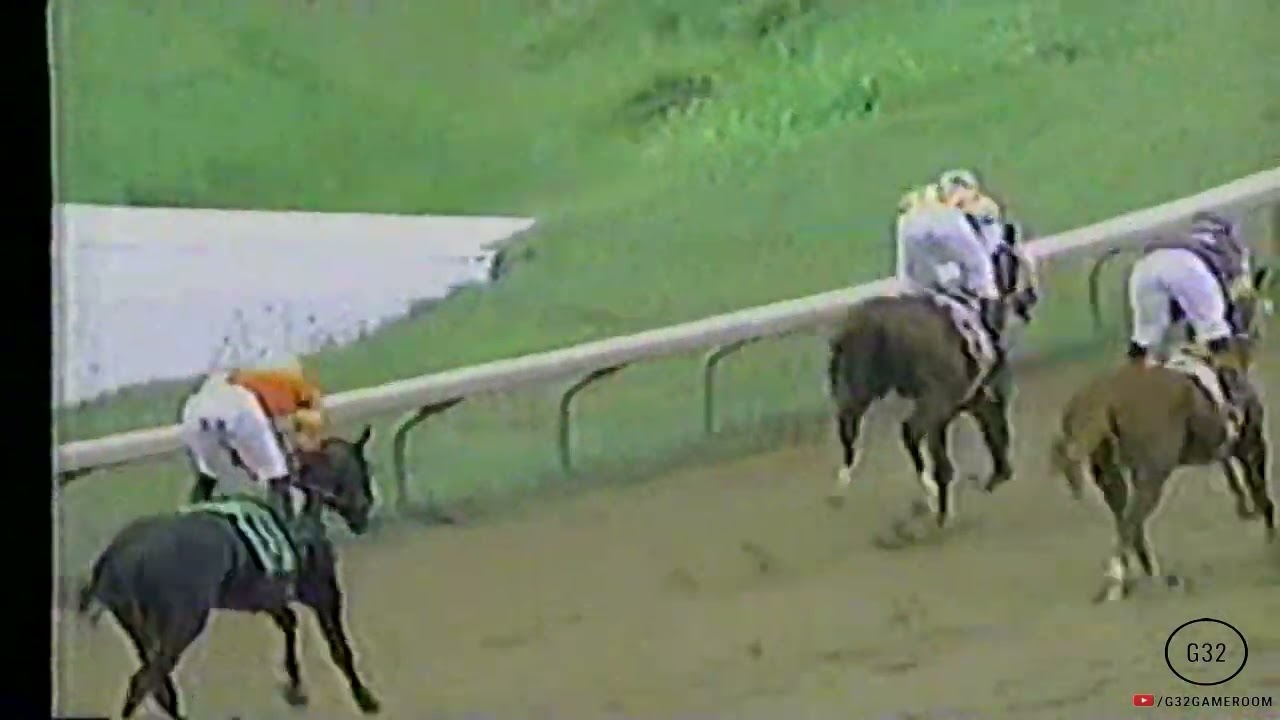Hipismo PR El Comandante (5/11/03 - 7/12/03)