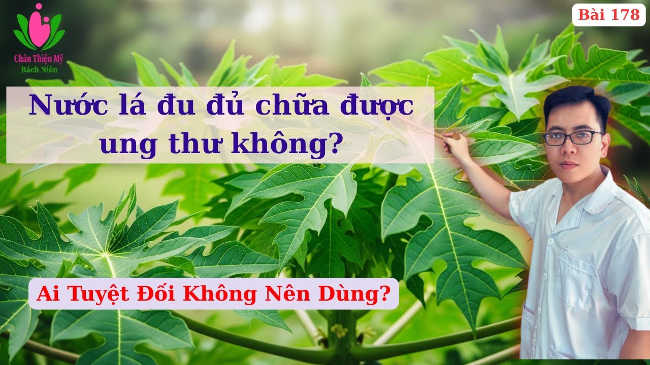 Lá Đu Đủ Có Tác Dụng Gì? Có Chữa Được Ung Thư Không? Cách Chế Biến Đu Đủ Chữa Một Số Bệnh Cụ Thể