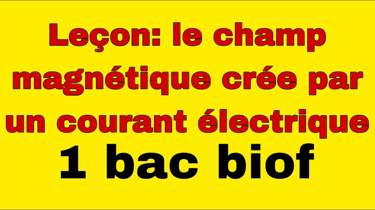 le  champ magnetique cree par un courant electrique