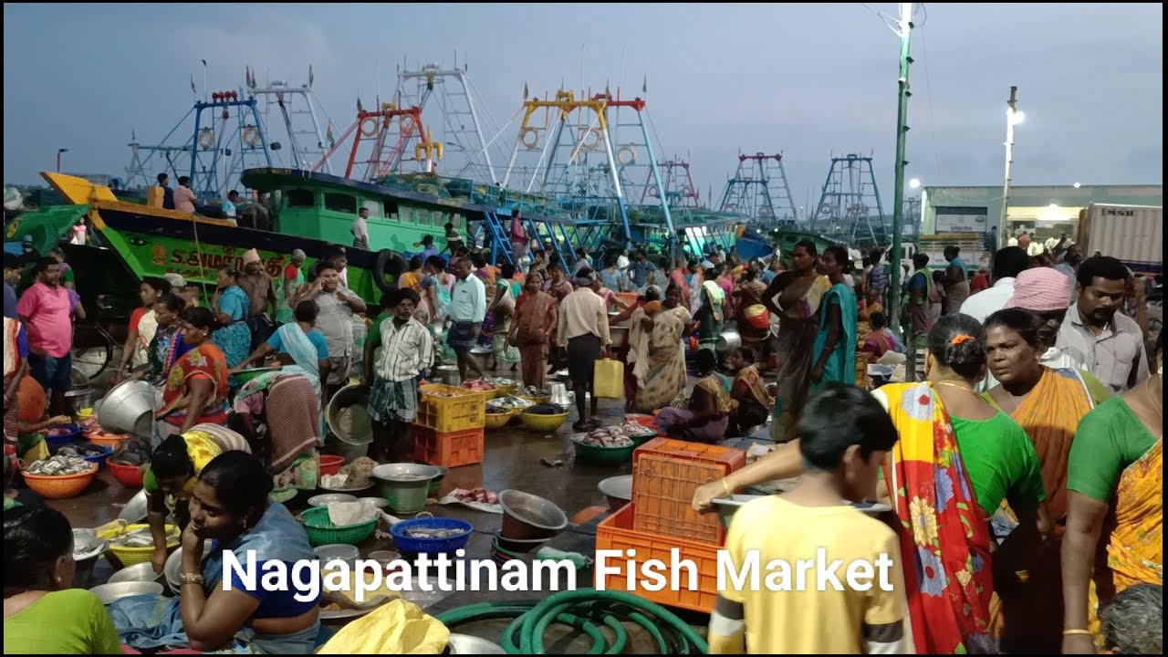 Nagapattinam Fish Market | Nagapattinam Harbour Tamil Nadu India