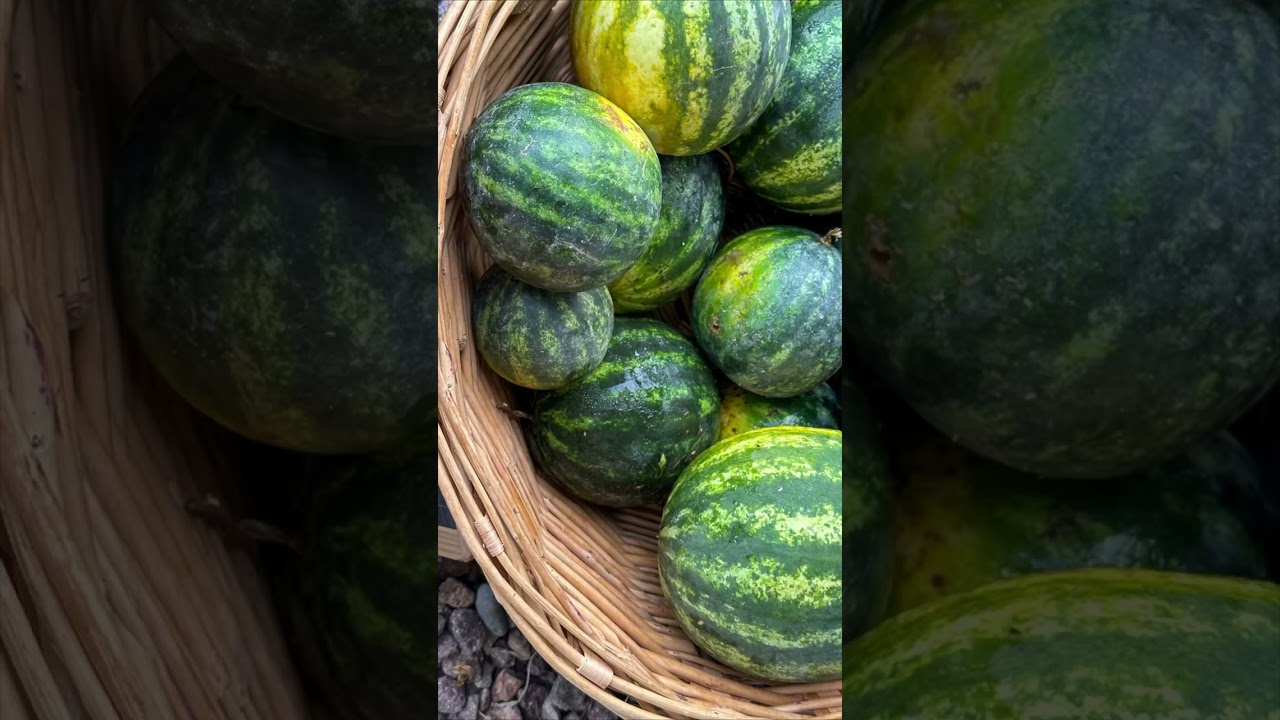 Biologico regionale significa anche stagionale