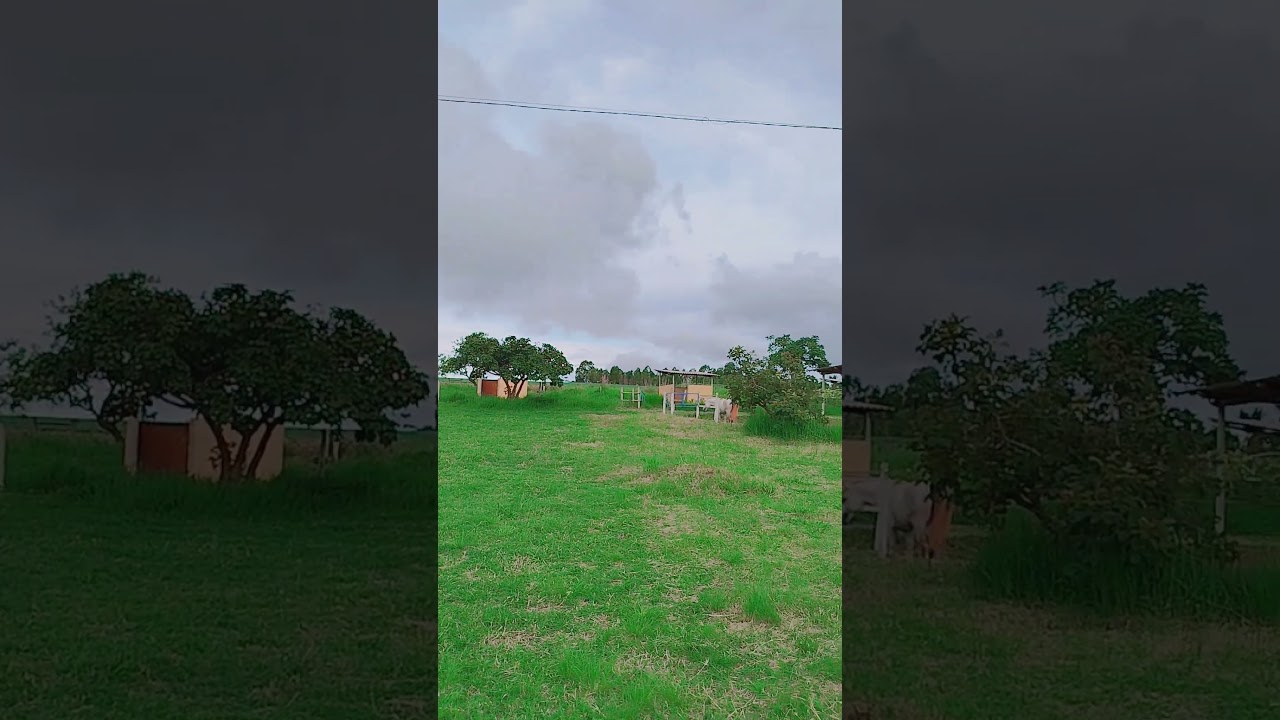Na Ro&ccedil;a