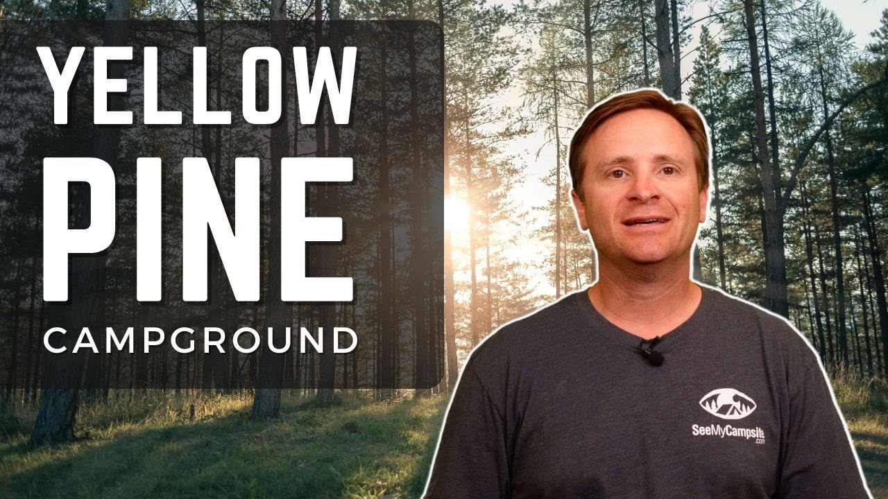 Yellow Pine Campground, Utah | Campground Tour