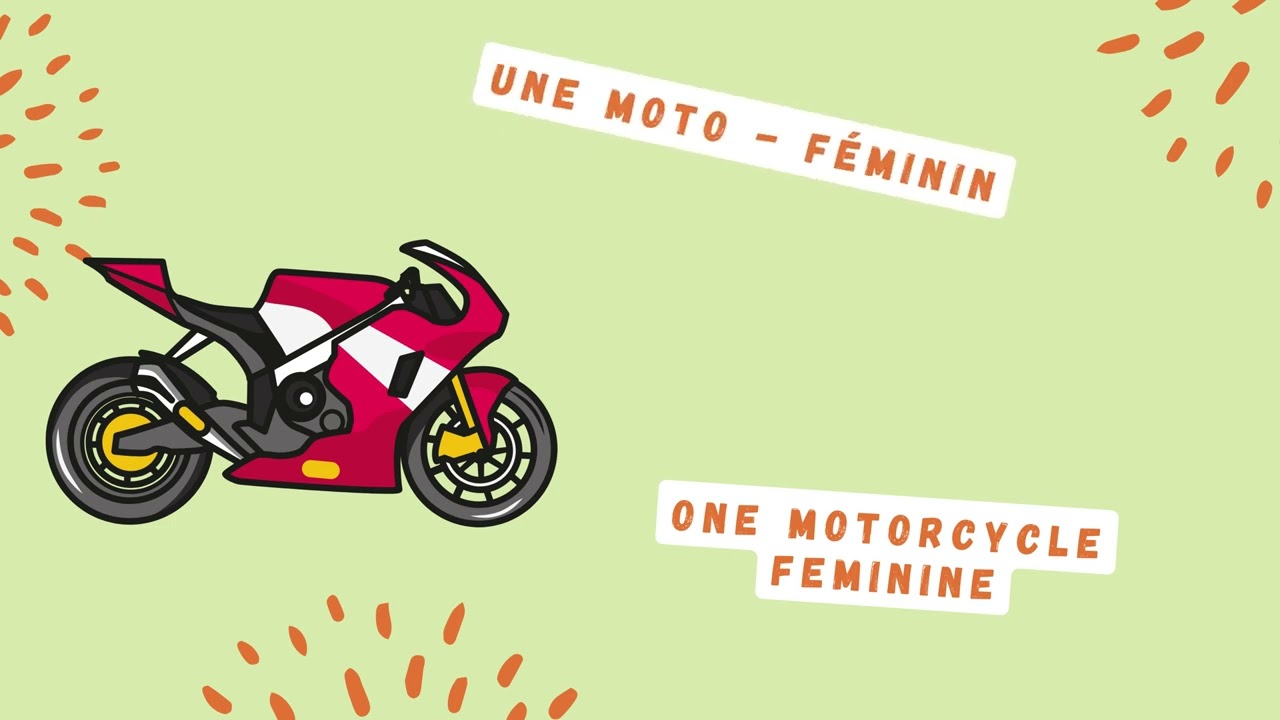 Les adjectifs possessifs   SA