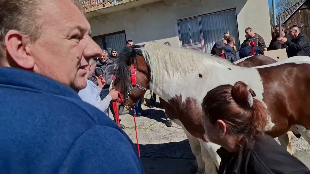 Danas Svi putevi vode u Cetingrad na godiśnji SAJAM