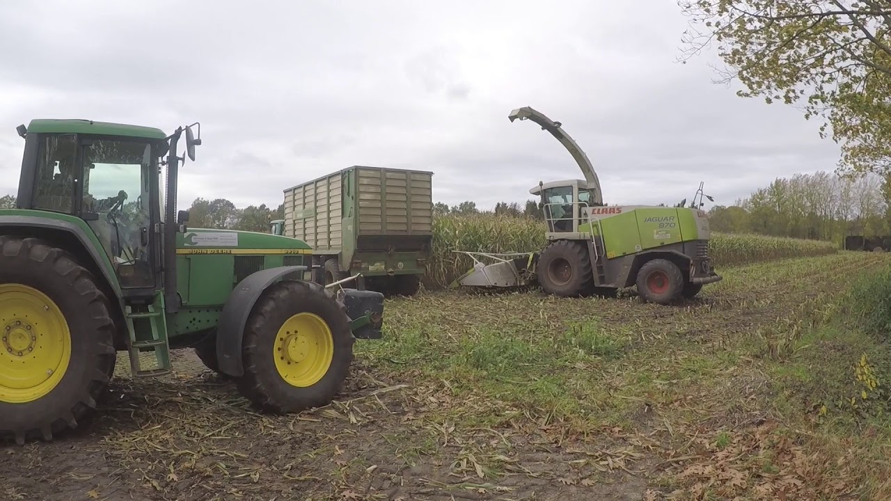 Maishäckslen 2019 mit John Deere 6420/6910|Trecker  mit uns|Corn Harvesting
