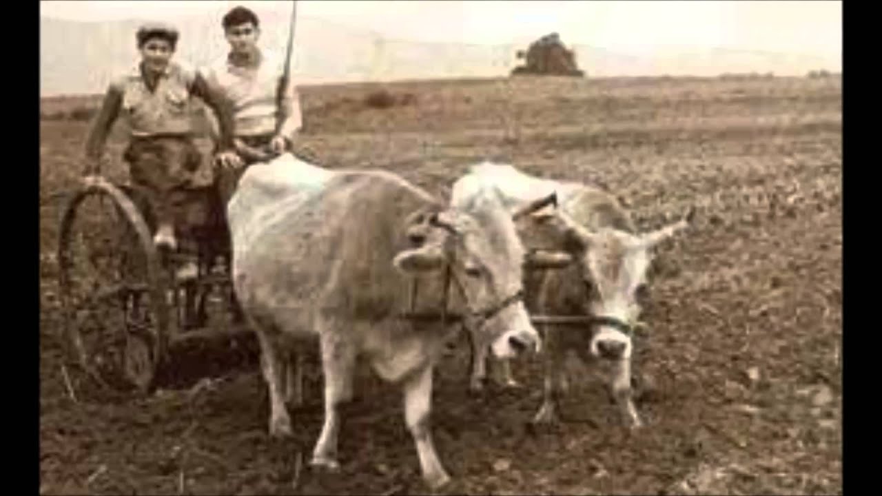 Ζωναράδικος Τσέστος - (ΜΟΥΣΙΚΗ)
