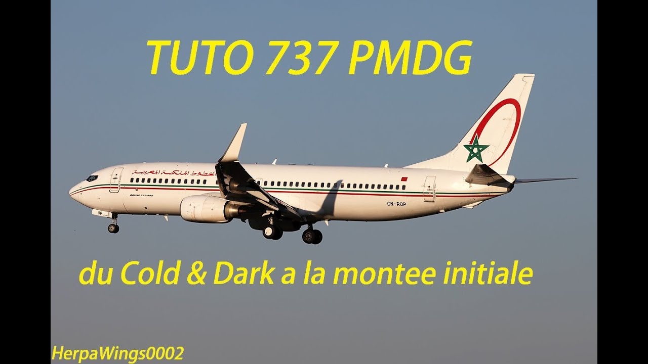 PMDG 737 tutoriel FR: *Du Cold and Dark à la montée initiale*
