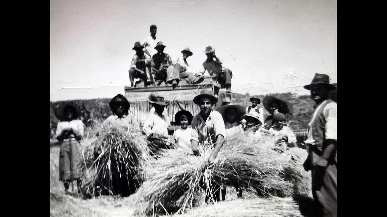 No tempo das Ceifas - Embaixadores d'Aldeia * Maceira, Fornos de Algodres 1a parte