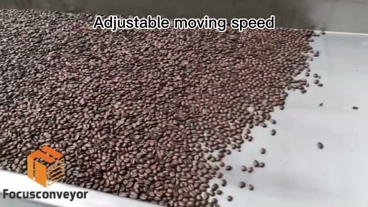 Fastback coffee bean conveyor--Focus Machinery
