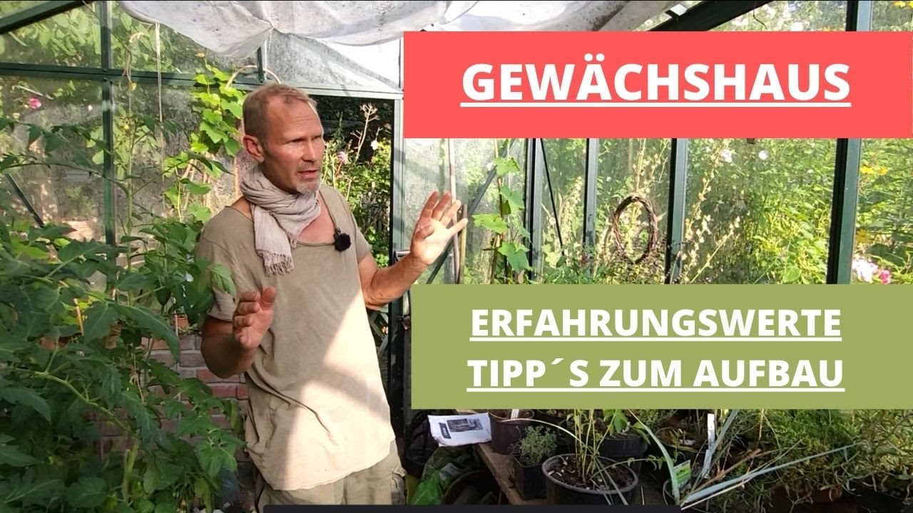 Gewächshaus Erfahrungsbericht Aufbautipps