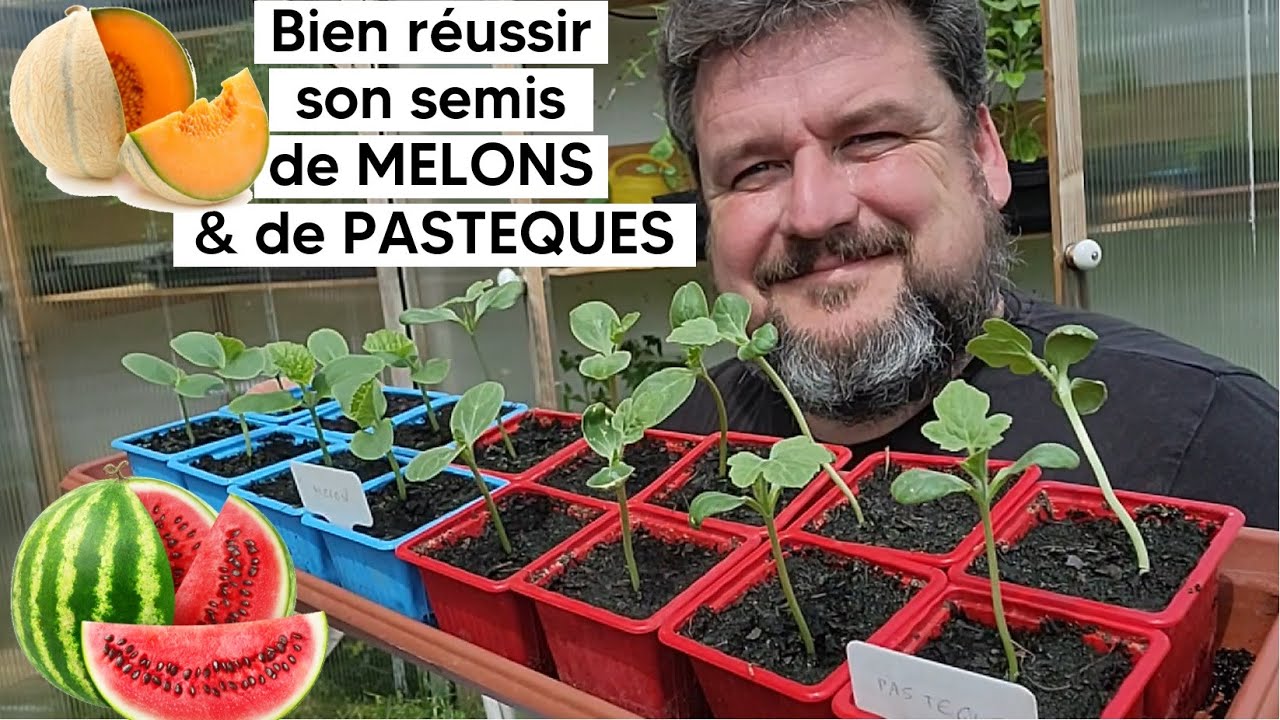 Comment réussir son semis de MELONS 🍈 & de PASTEQUES 🍉『TUTO』