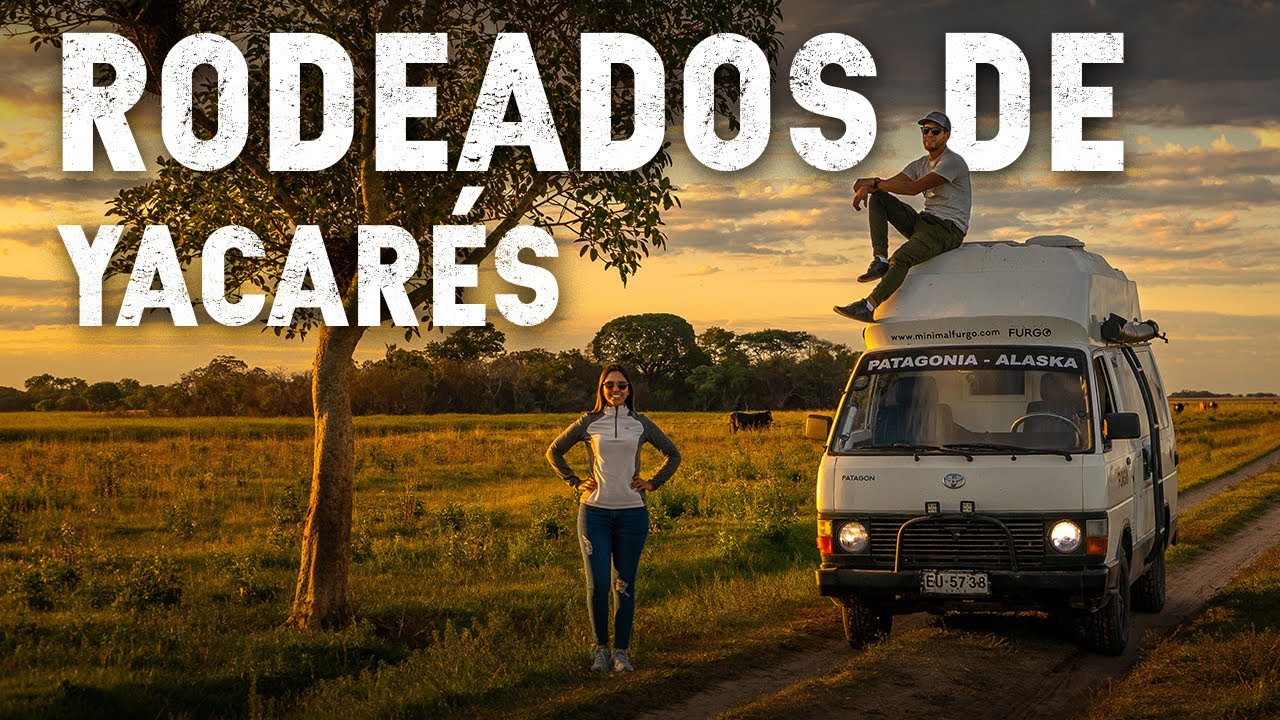 Este es uno de los HUMEDALES MÁS GRANDES del MUNDO | Esteros del Iberá 🇦🇷 T2|E7