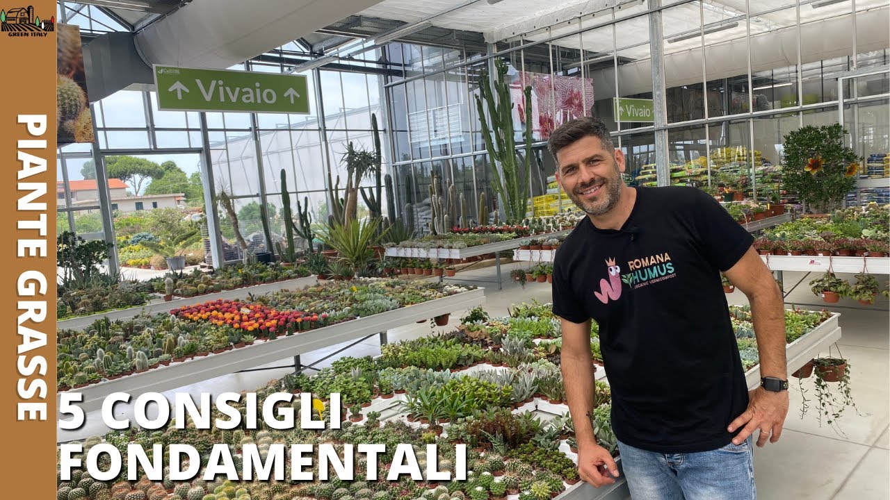 Piante Grasse: 5 Aspetti fondamentali