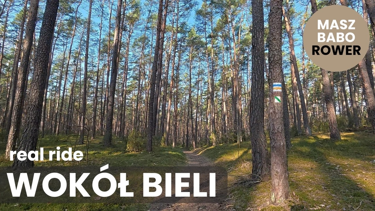 Kampinos, Wok&oacute;ł Bieli, Real Ride, 4K, 30FPS, 4,6 km