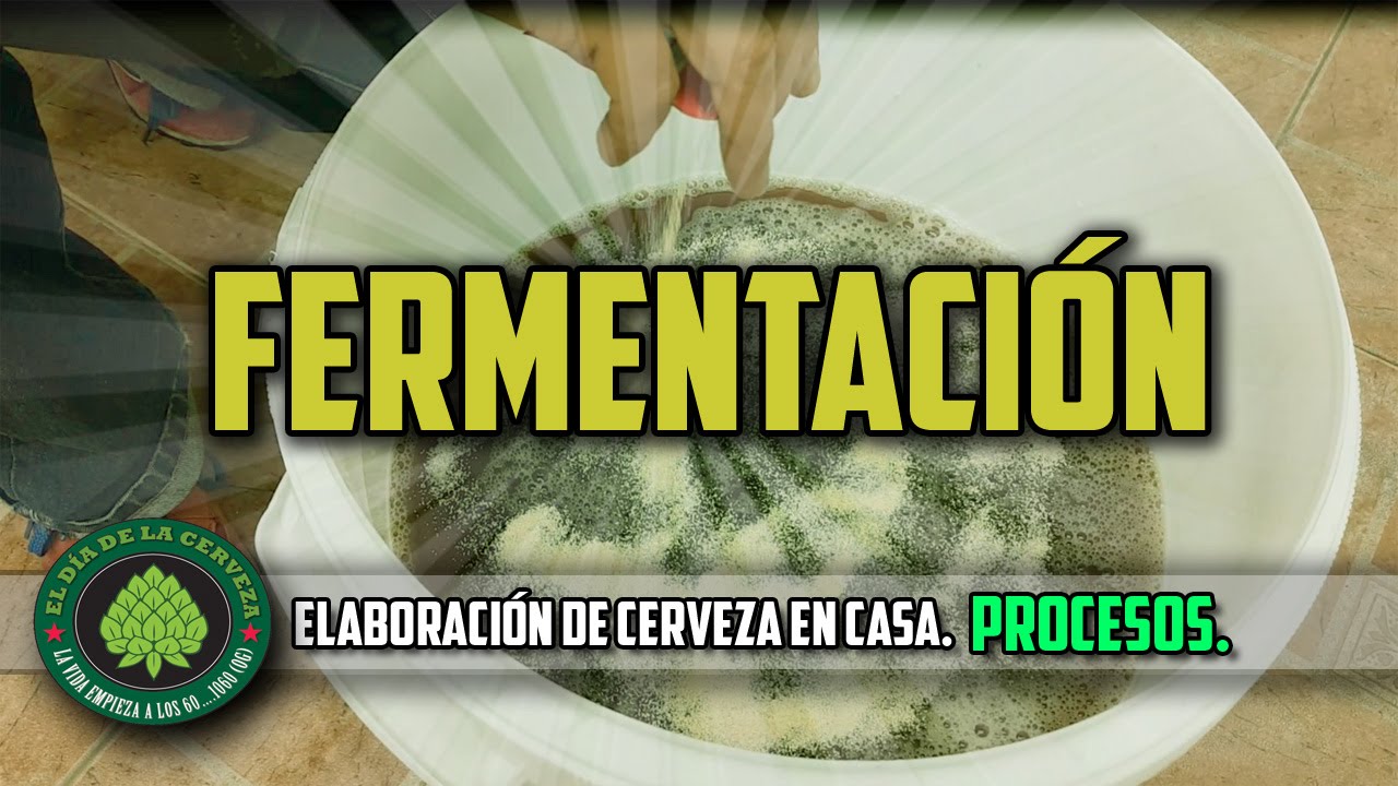 Cómo hacer cerveza artesanal en casa. PROCESOS: FERMENTACIÓN. SEXTO PROCESO.
