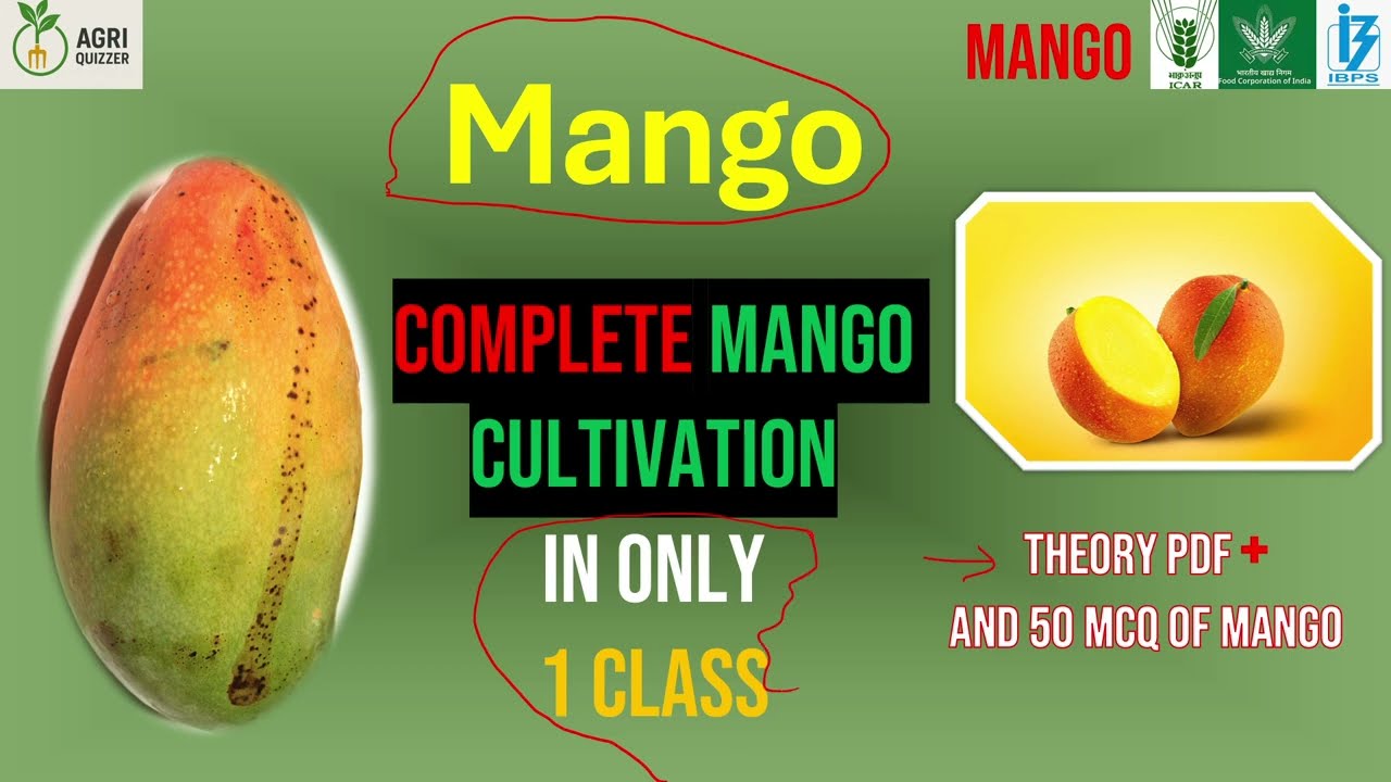 Mango Cultivation for All agriculture Exams