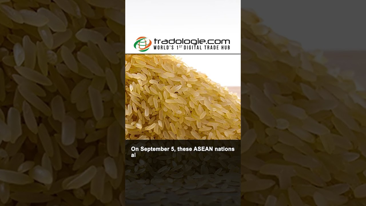 Southeast Asian Leaders Commit to Refrain from Trade Curbs Amid Rice Supply Concerns