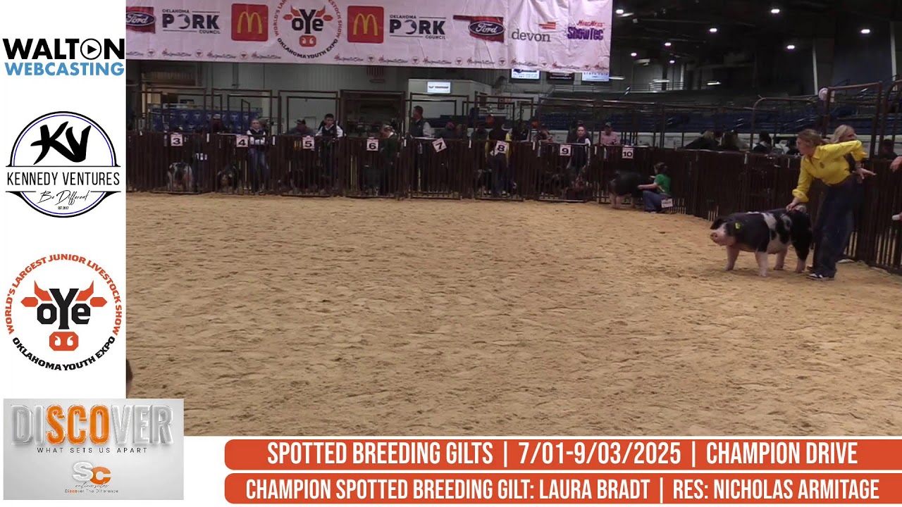 Commercial Breeding Gilt Show - Light Cross - Followed by Purebred Breeding Gilt Show - Barn 6 - Mar