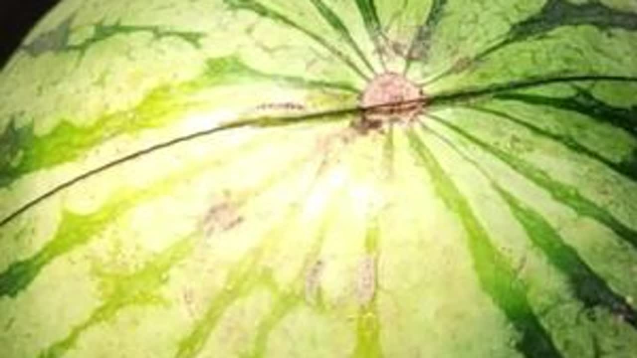 一根线比刀还“锋利”究竟有多恐怖?瞬间就能切开西瓜！太离谱#2023年的第一个西瓜 #零食 #挑战棉线切西瓜