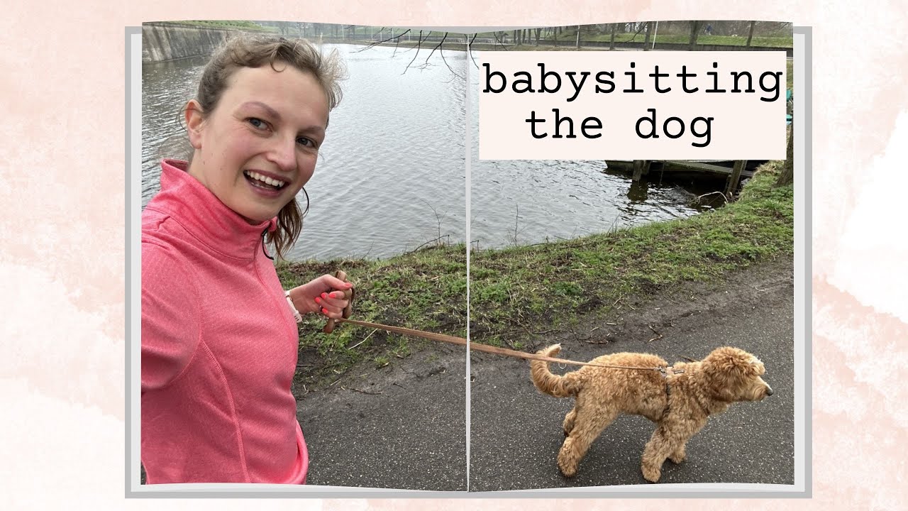 Last week in the Netherlands before I go to Uganda #netherlandsvlog 6