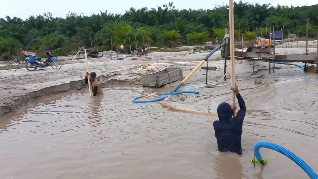 harga timah bangka belitung anjlok turun drastis, warga tetap kerja cari timah, T'I tungau