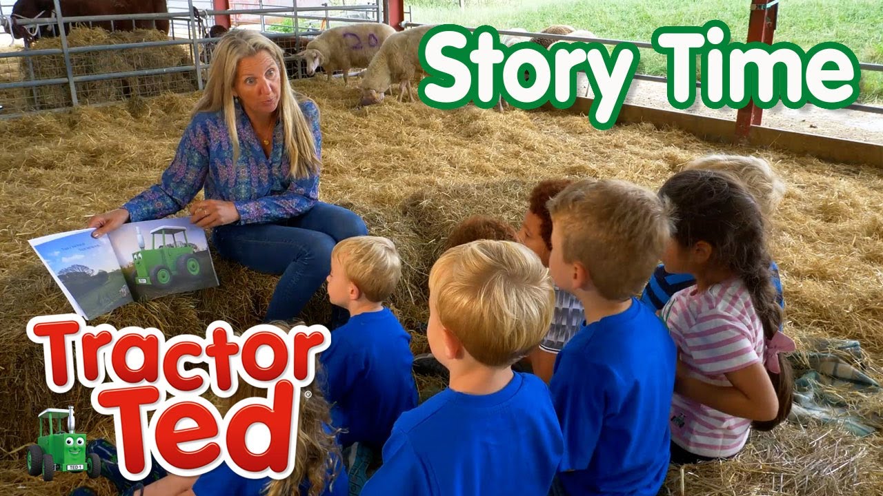 Story Time On The Farm 📚 | Tractor Ted Compilation | Tractor Ted Official Channel