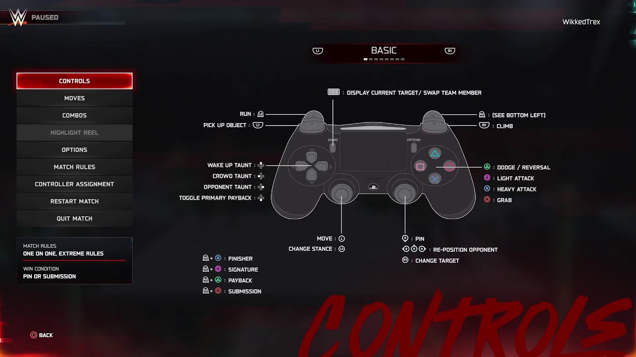 WWE2K 25 TAG LADDER WITH MY LADY