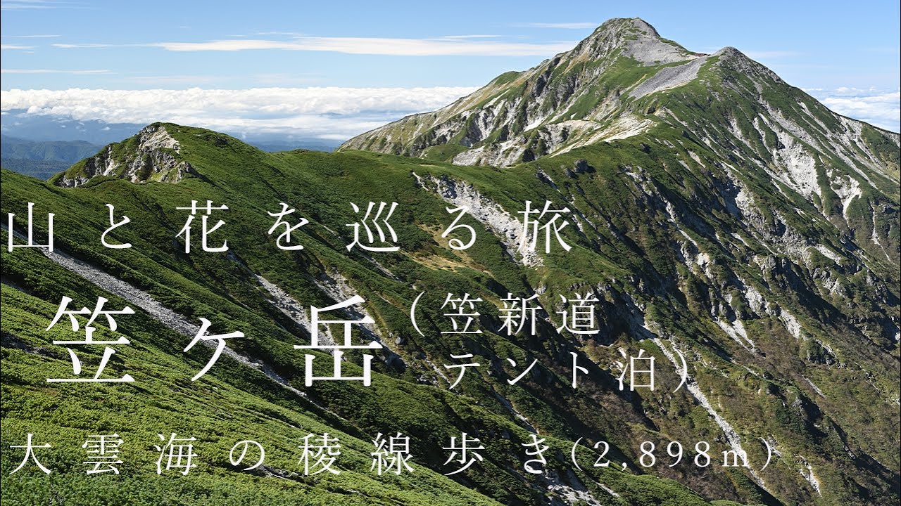 【登山】北アルプス・笠ヶ岳（笠新道テント泊）大雲海の稜線を歩いてきました。