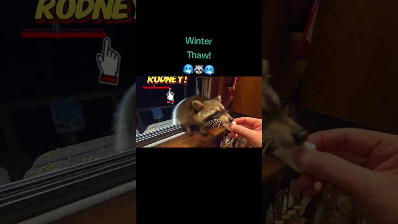 Winter Whoozit? 
