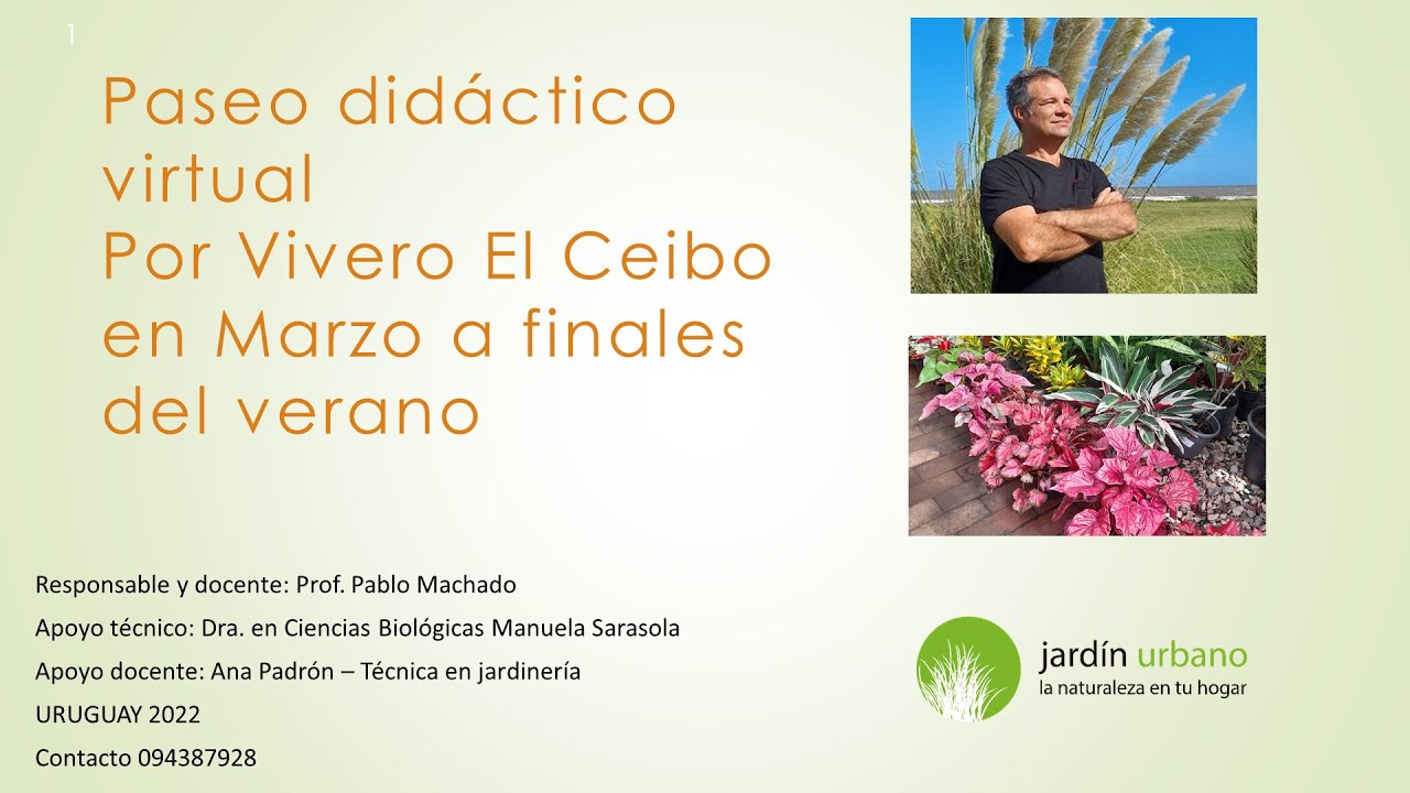 Presentación - Clase - Paseo Virtual por Vivero