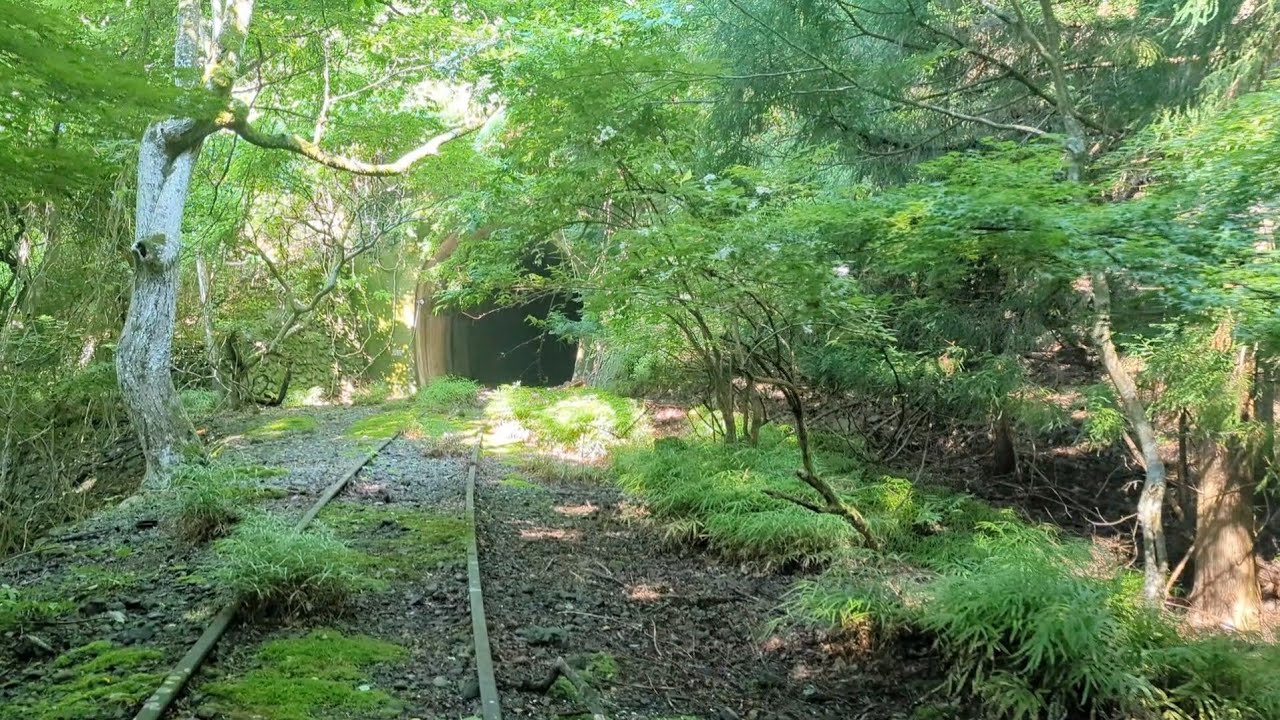 [Walk along the abandoned railway track]Okutama Station→Mizune Station Site.It was a great adventure