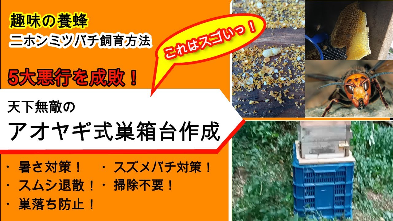 【趣味の養蜂】画期的な巣箱台「アオヤギ式巣箱台」・これだけで、スムシもスズメバチも心配なしっ。だけじゃない！