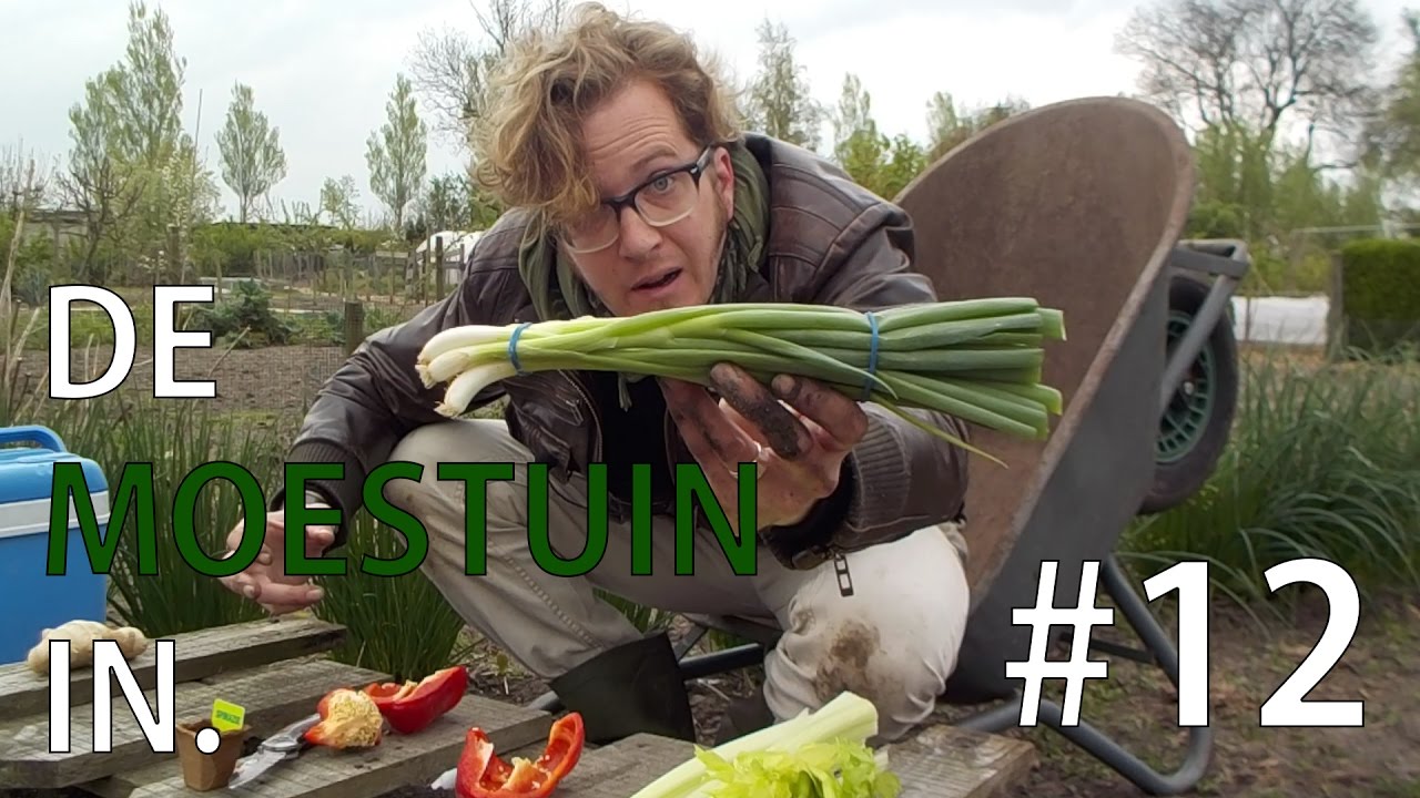 De Moestuin In. Vlog #12 - Je groenafval is goud waard!