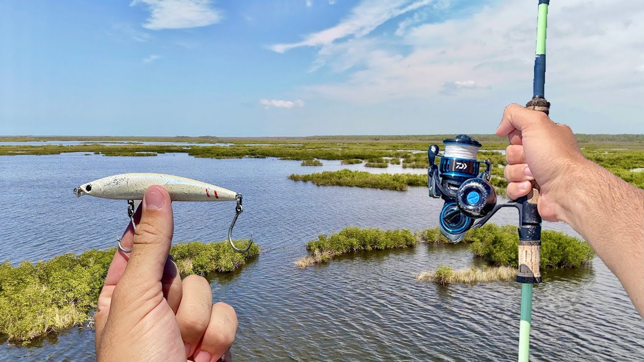 *CRAZY* Inshore Topwater Action!!! | Nature Coast Redfish Fishing