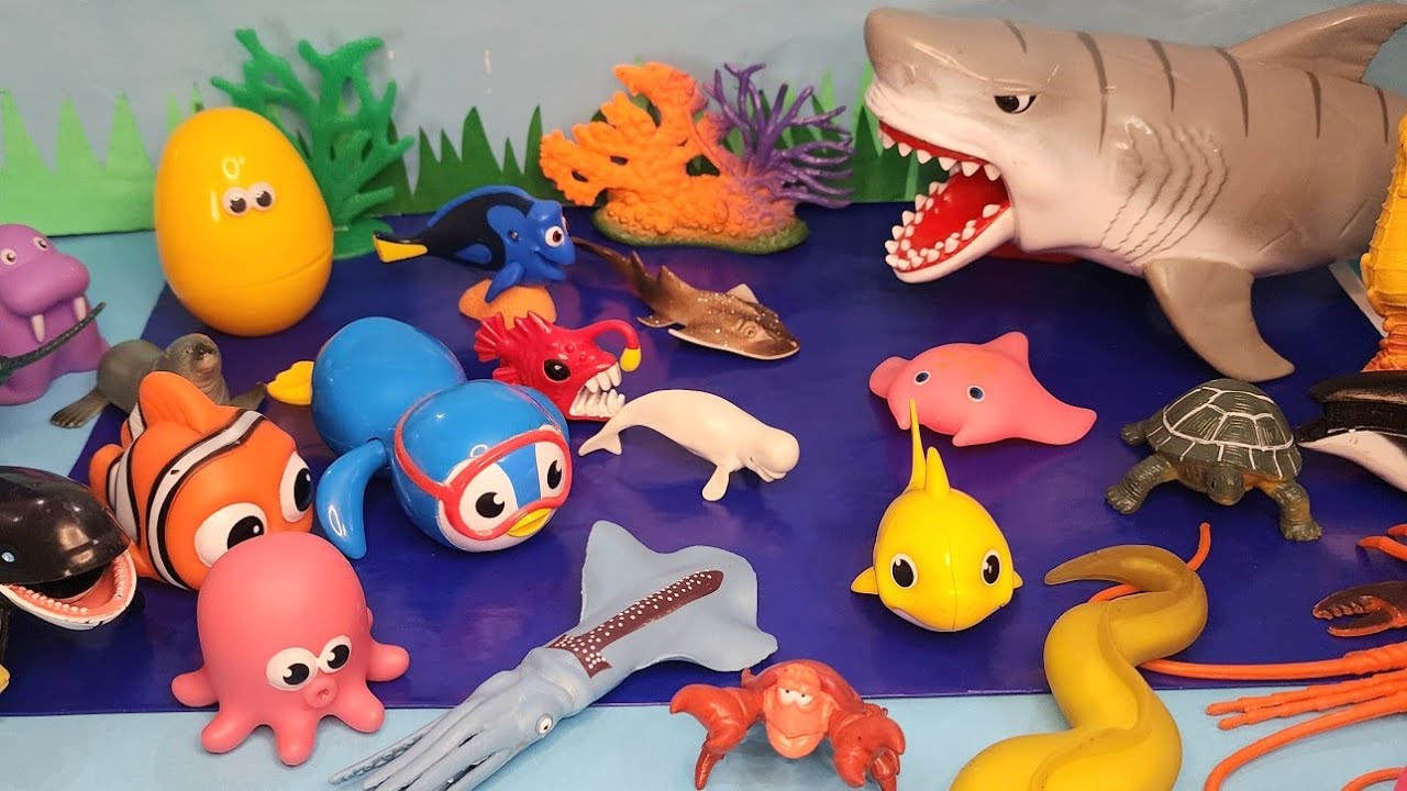 Shark Toys for kids|Sea Creatures names & fun facts for toddlers