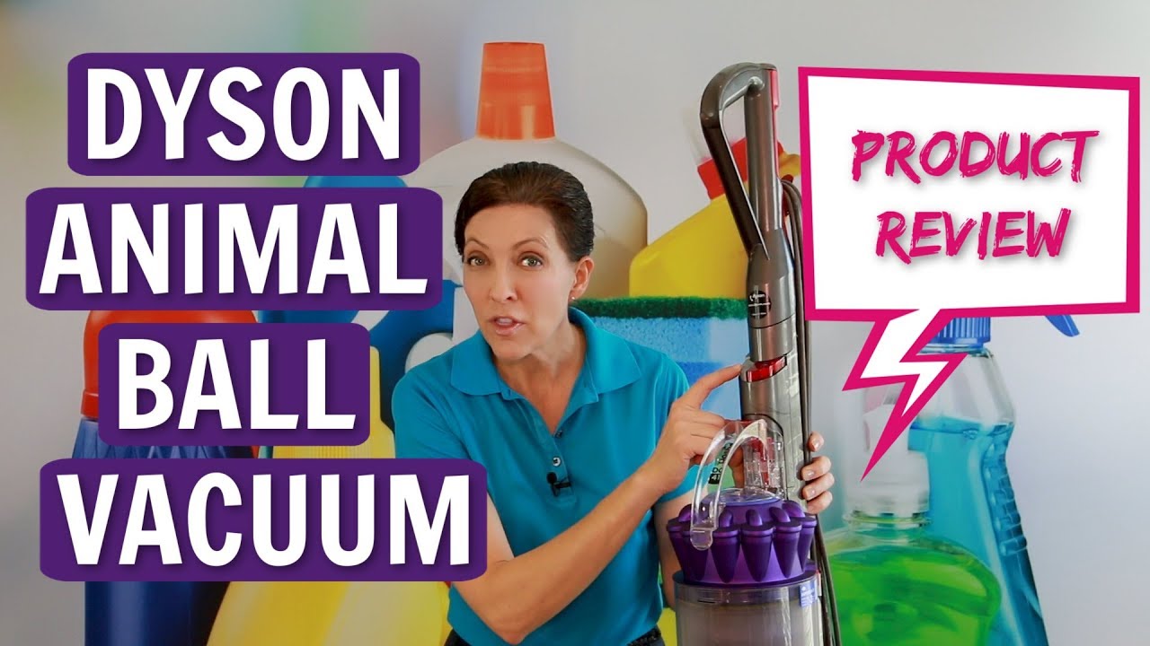 Dyson Animal Ball Vacuum Product Review