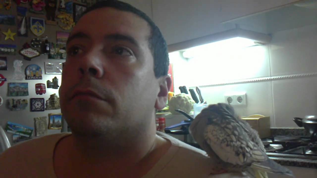 Bree - Mimitos y Besetes