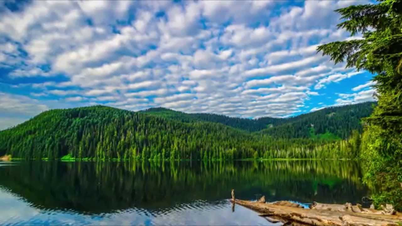 Lost Lake MT Hood Oregon
