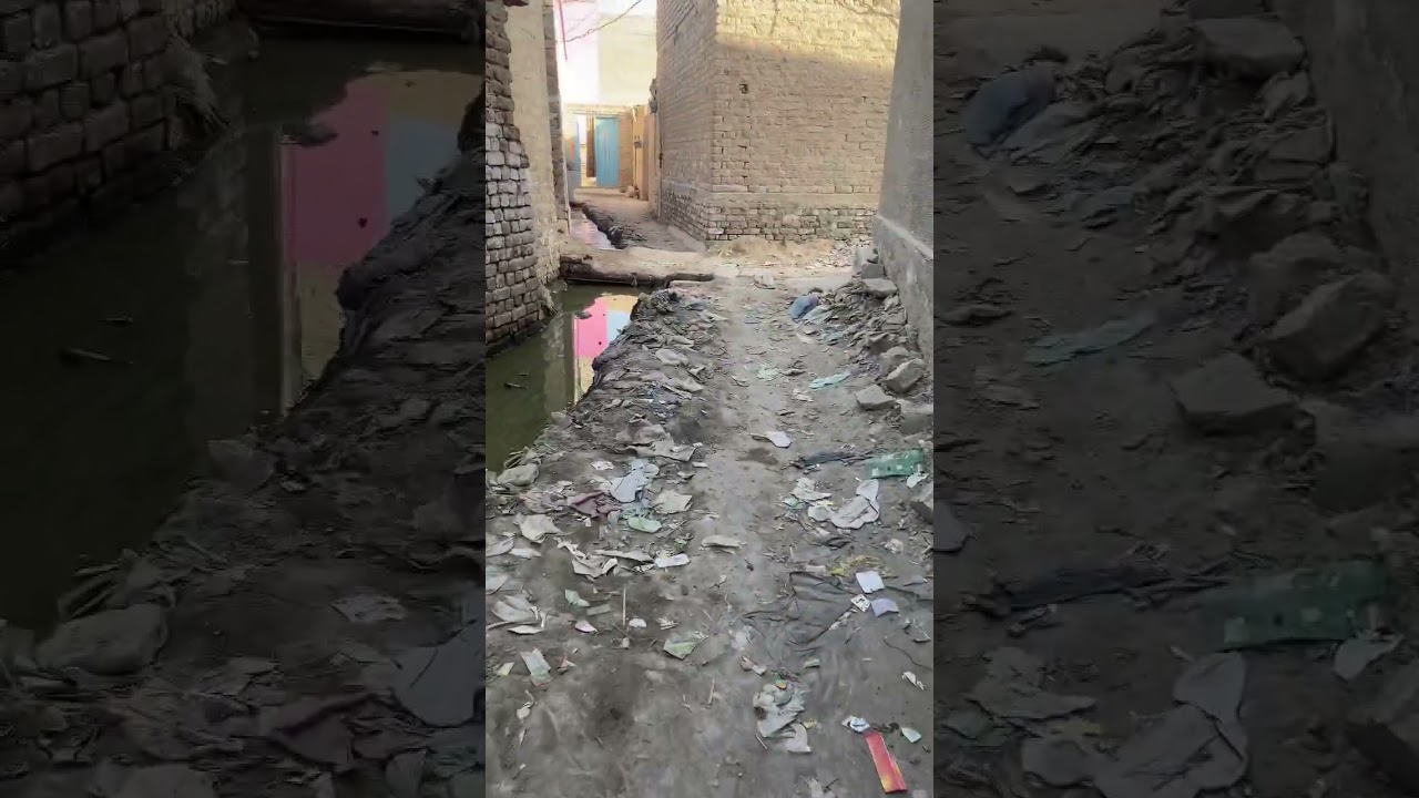 Interior Sindh streets #pakistan #youtuber #shorts #short #sindhi