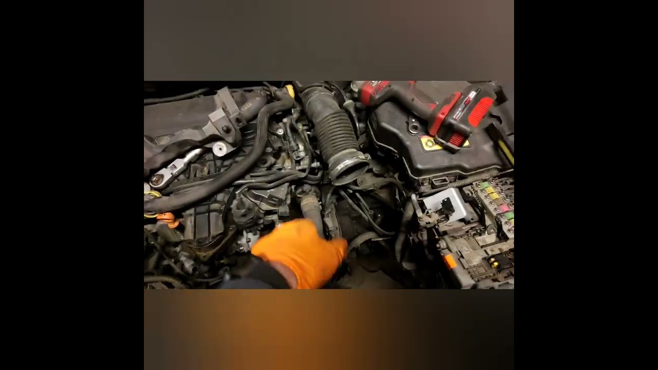 Separator oleju 2.0 HDI czy warto wymieniać, objawy, profilaktyka i nie tylko.