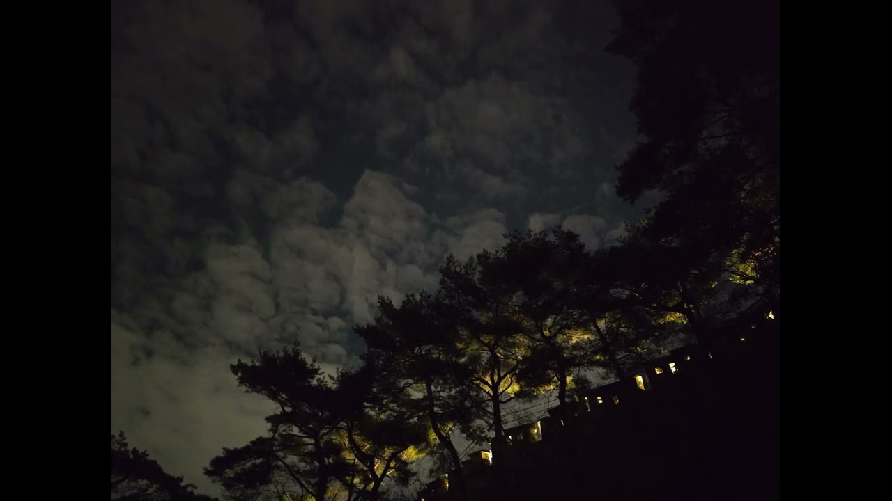 [indie pop] Lights Between the Trees