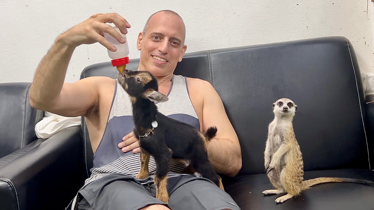 Crazy 3 Floor Petting Zoo in Pattaya Thailand ~ DinoPark