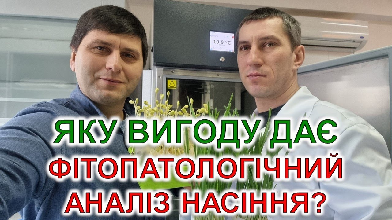 Яку вигоду дає фітопатологічний аналіз насіння