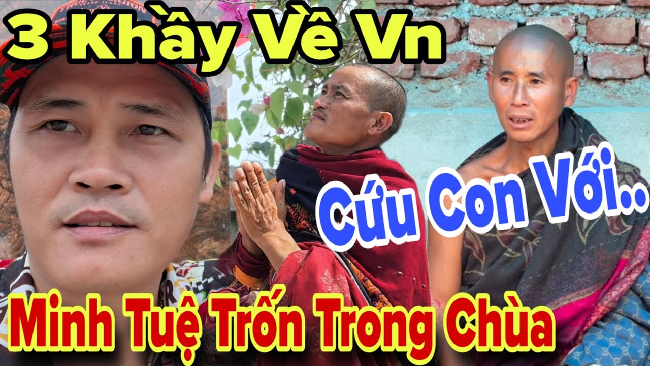 3 Khầy Về Vn Minh Tuệ Trốn Tại Chùa A.Báu, Xuân Lam Về Bồ Đề