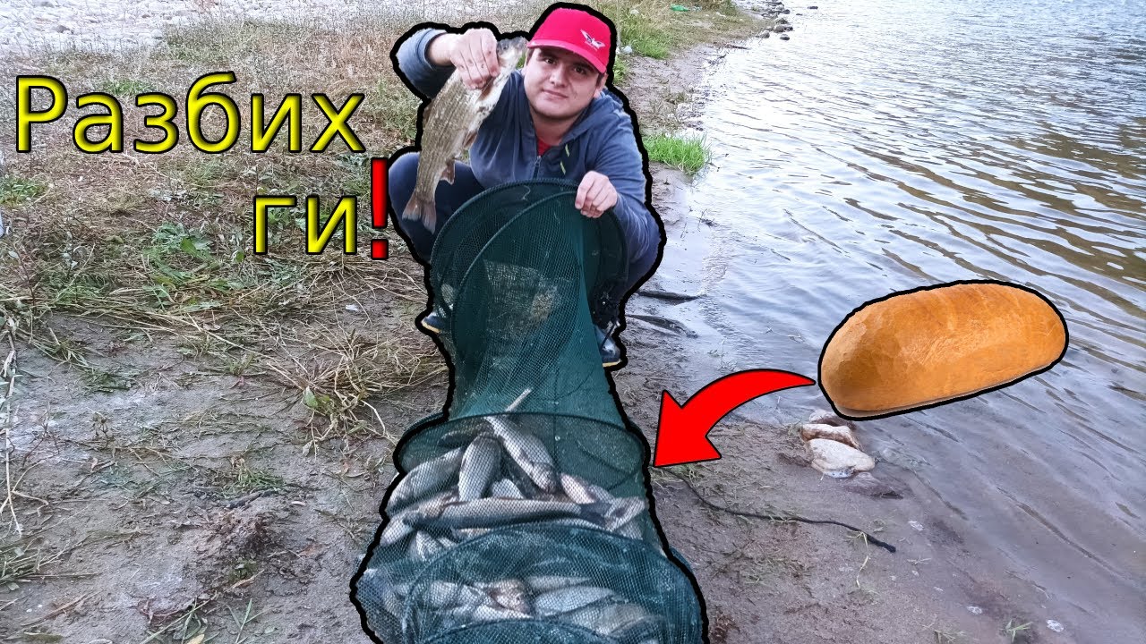 РАЗБИХ СКОБАРИТЕ в БЪРЗАКА! Страхотен риболов! Над 50 СКОБАРА на река Струма!Float fishing for nase!