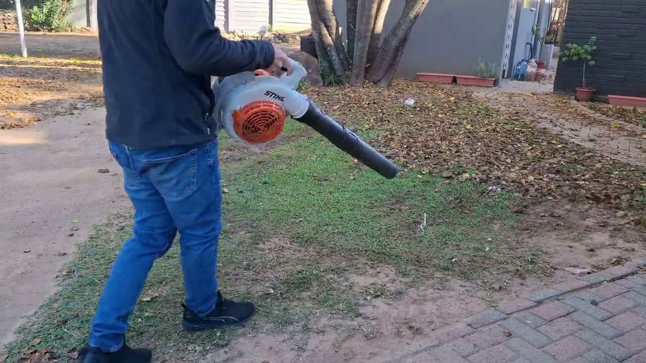 Stihl BG56 leafblower vs many 🍃 #michaelstoolbench #stihl #bg56