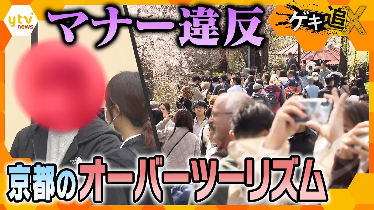 無断で私有地に入り写真撮影!?　歴史的な建物の破壊!?　共存は無理…京都のオーバーツーリズムの現在地【かんさい情報ネットten．ゲキ追X】