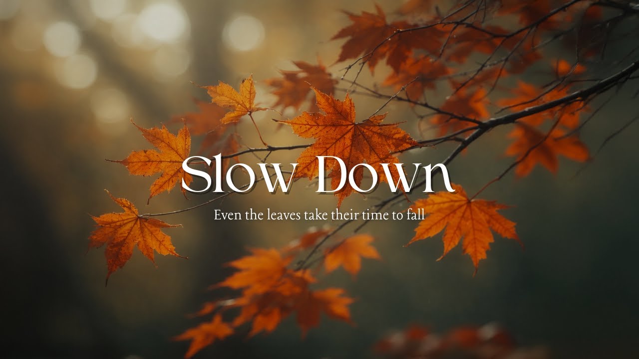 Slow Down 🌙 90 Minutes Sleep Piano for Deep Relaxation, Study & Stress Relief